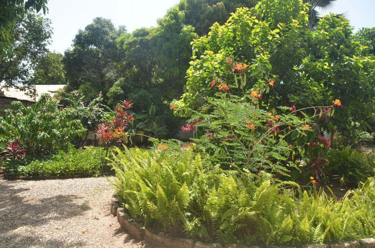 Vokundahouse Villa Kololi Dış mekan fotoğraf